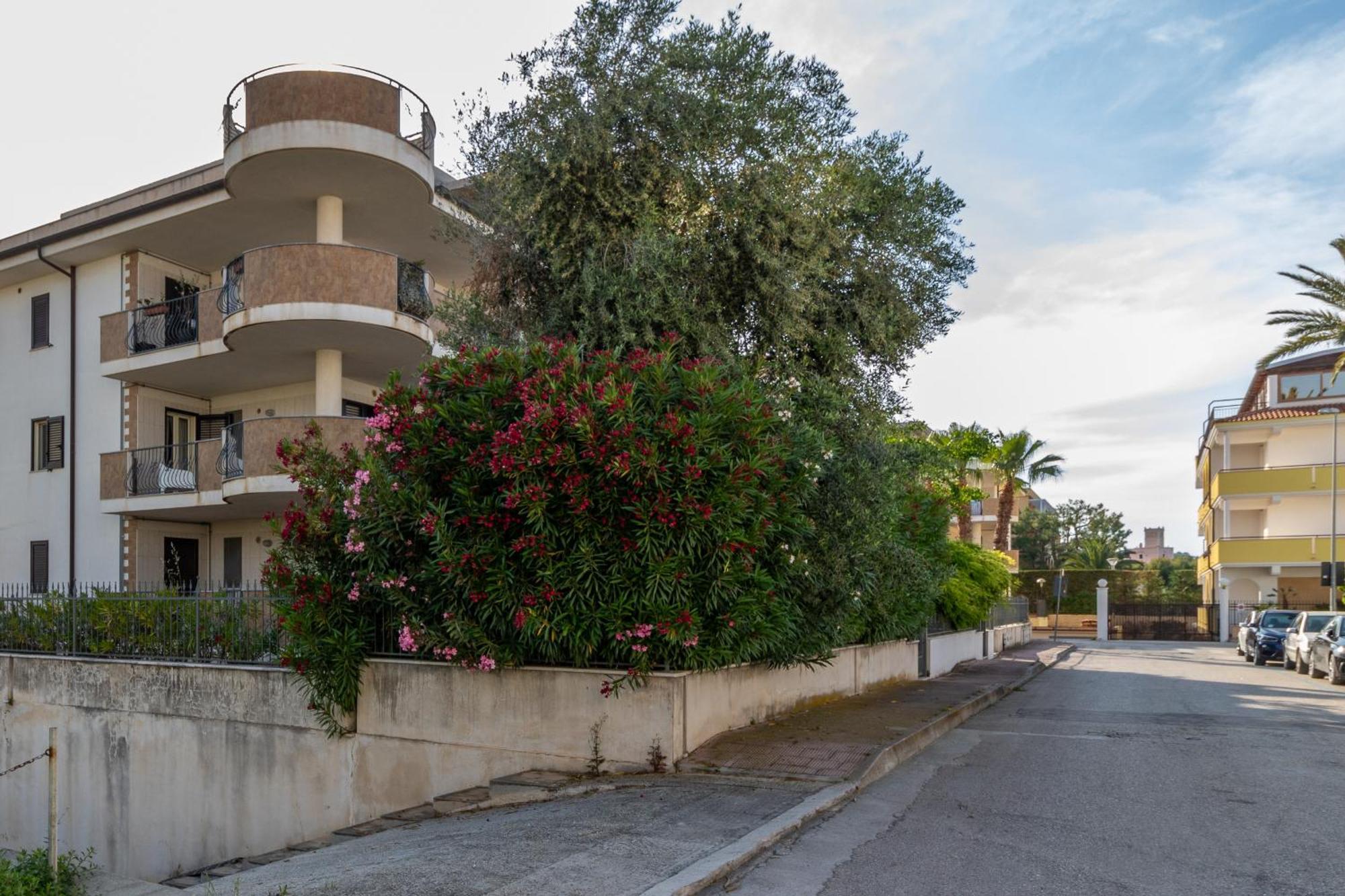 Virna Casa Vacanze Vieste Eksteriør billede